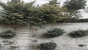 Ankara yeniden beyaza büründü