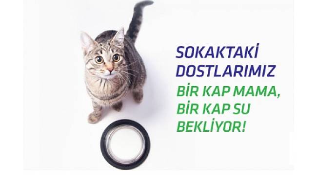 Boğaziçi Elektrik&#039;in bu hatırlatması da çok önemli