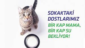 Boğaziçi Elektrik'in bu hatırlatması da çok önemli