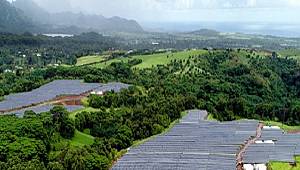 Dünyanın en büyüklerinden!