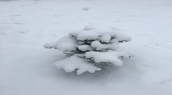 Kar yeniden hızlandı