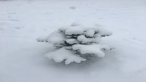 Kar yeniden hızlandı