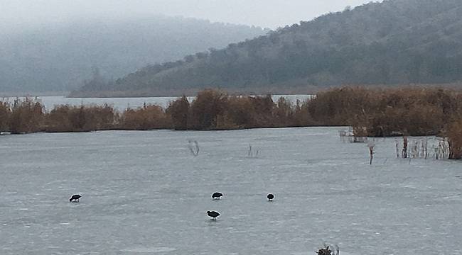 ODTÜ Eymir Gölü dondu!