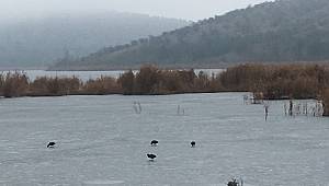 ODTÜ Eymir Gölü dondu!