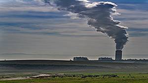 TEMA VAKFI: Ormanları ve havamızı koruyun