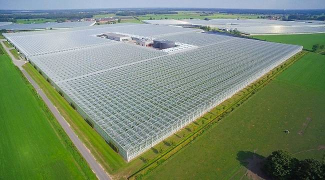 Isı ve elektrik ihticazı Kojenerasyon sistemi ile karşılanıyor