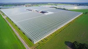 Isı ve elektrik ihticazı Kojenerasyon sistemi ile karşılanıyor