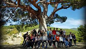 TEMA VAKFI: Gönüllümüz olun