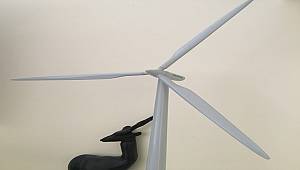 10 percent of Turkey's electricity produced from wind