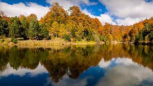 2 Şubat Dünya Sulak Alanlar Günü