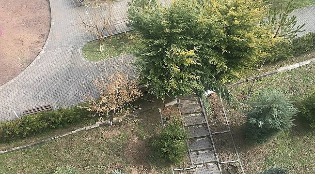 Ankara&#039;da hava şimdi açtı