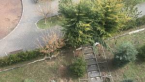 Ankara'da hava şimdi açtı