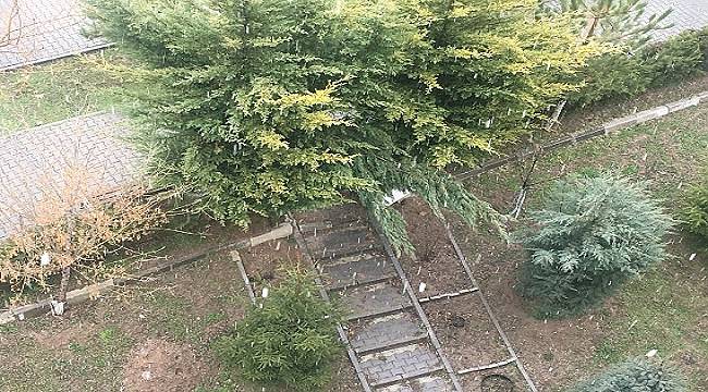 Ankara&#039;da kar yağışı başladı