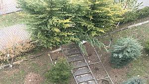 Ankara'da kar yağışı başladı