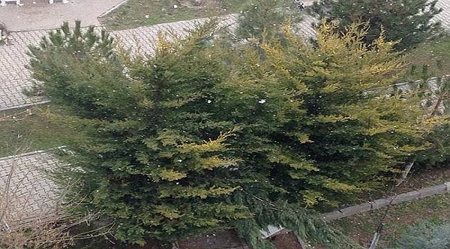 Ankara&#039;da tane tane kar yağıyor