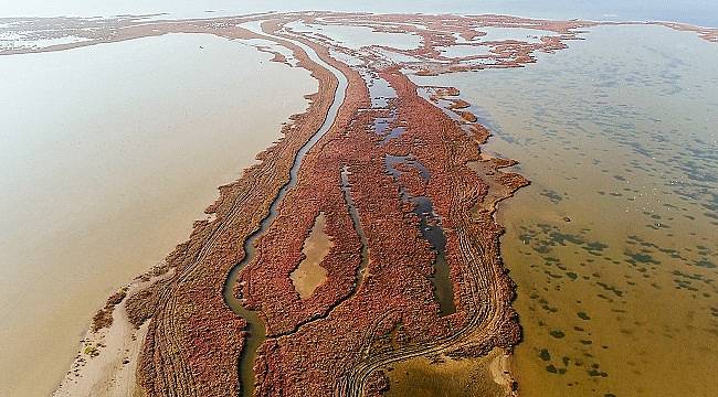 ÇEVRE: İzmir&#039;in Gediz Deltası&#039;nı araştırdılar