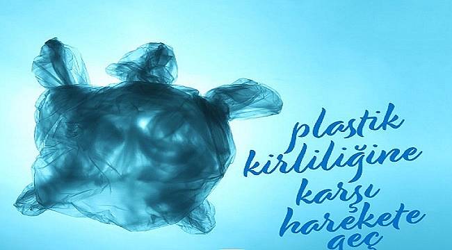 DENİZLERDE: Midelerinden mikro plastikler çıktı