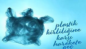 DENİZLERDE: Midelerinden mikro plastikler çıktı