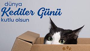 EWE Enerji: Kedinize sıkıca sarılın