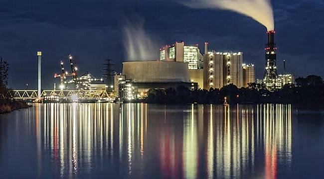 Kojenerasyon Bülteni tamam