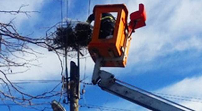 Leylekler için yaptı: ÖRNEK ÇALIŞMA