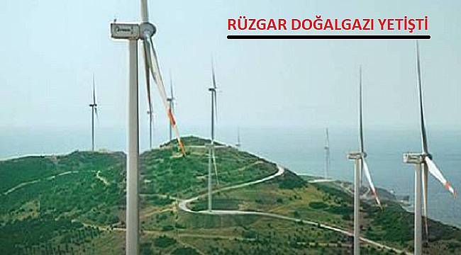 Rüzgarla elektrik üretimi doğalgaza yaklaştı