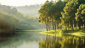 Sulak Alanlar: Karbon emisyonunun yüzde 30'unu yutuyor