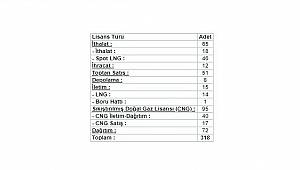 Türkiye'de 72 doğalgaz dağıtım şirketi faaliyet gösteriyor