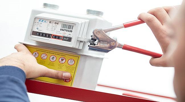 Zorlu Enerji: Doğalgaz sayaçları muayene başvuruları tamamlanmalı