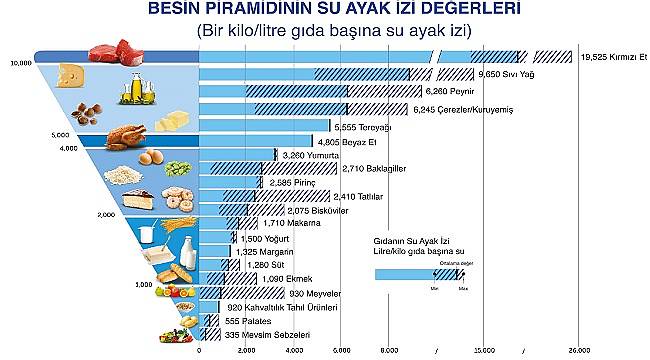 1 kilo sığır eti üretmek için 19 bin 525 litre su tüketiliyor