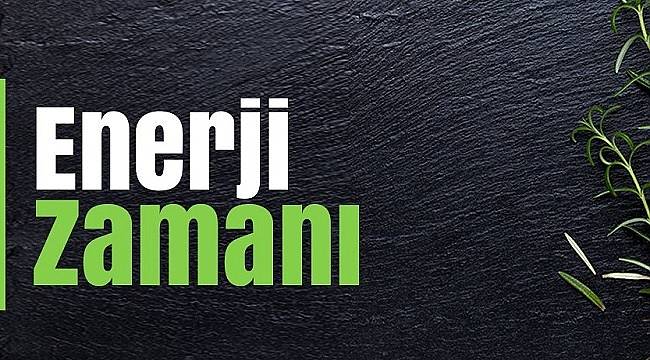 ÇEDAŞ Elektrik: Kan dolaşımını düzenler