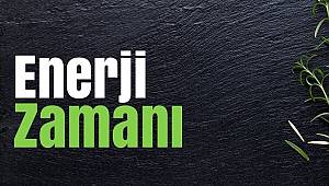 ÇEDAŞ Elektrik: Kan dolaşımını düzenler