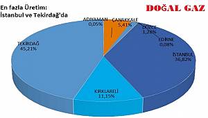 En fazla doğal gaz İstanbul ve Tekirdağ'da üretildi