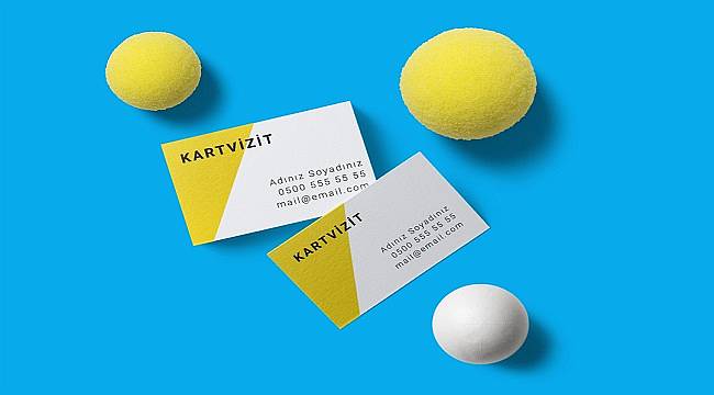 ENERJİ DÜNYASI: 6 yılda CEO sayısı 7 kat arttı