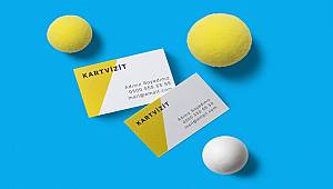 ENERJİ DÜNYASI: 6 yılda CEO sayısı 7 kat arttı