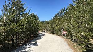 Eymir Gölü bahardan bir gün yaşadı