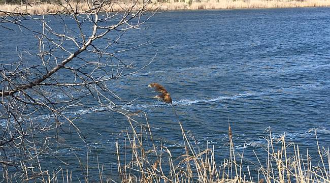 Eymir Gölü dalgalı!