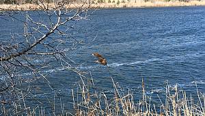 Eymir Gölü dalgalı!