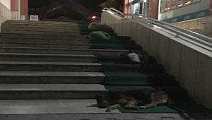 Foto Haber: Dinleniyorlar