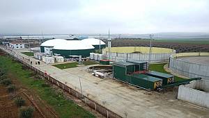 Gaziantep’te hayvansal atıklardan ısı ve elektrik üretiyor