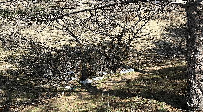 ENERJİ DÜNYASI: 22 Nisan Dünya Günü