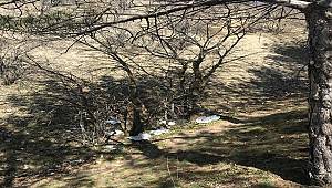 ODTÜ Eymir Gölü'ne çevre temizliği zamanı!