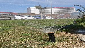 Su Tasarrufunda örnek uygulama: Yağmur sularını kullanıyorlar