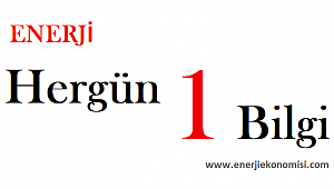 Türkiye'de kaç adet elektrik santrali var?