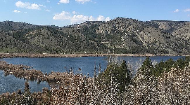 Yaz geliyor: Su tasarrufu önemli