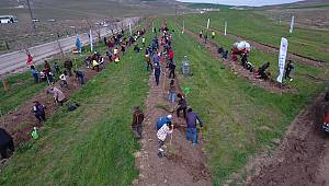 TANAP'tan daha yeşil bir Türkiye için 600 bin ağaç