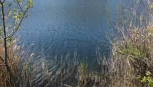 1 Metreküp su kaç tondur?