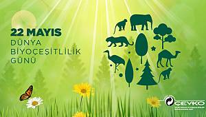 22 Mayıs Dünya Biyoçeşitlilik Günü