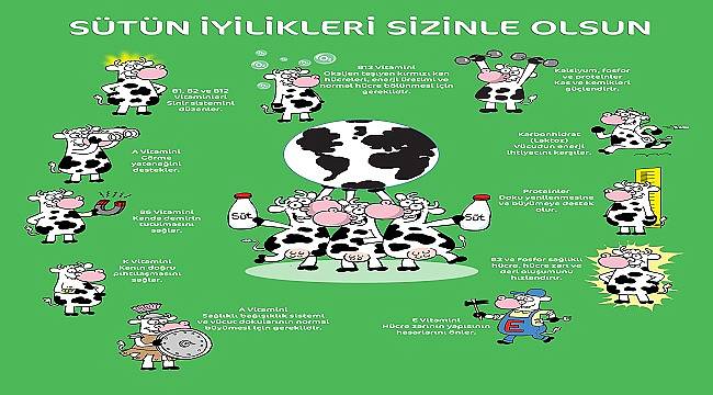 ENERJİ DÜNYASI:  1 Haziran Dünya Süt Günü Kutlu Olsun Sütün İyiliği Sizinle Olsun