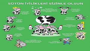 ENERJİ DÜNYASI:  1 Haziran Dünya Süt Günü Kutlu Olsun Sütün İyiliği Sizinle Olsun